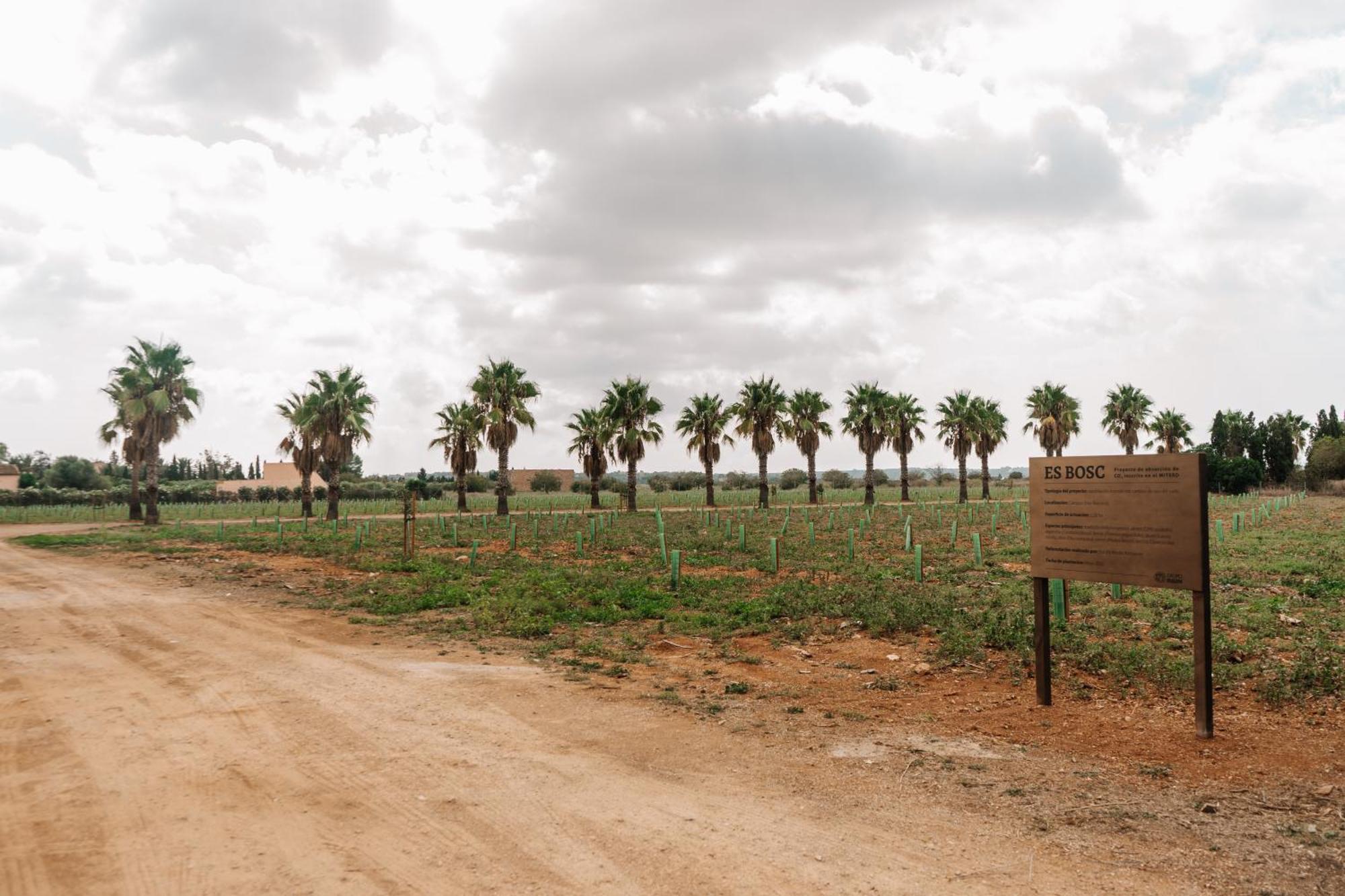 Bauernhof Claudia By Nura Campos (Mallorca)